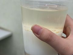 -清真马记宫廷奶酪(农光里店)