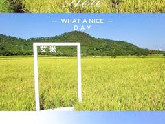 -艾米稻香小镇