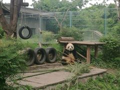 -仙芝竹尖生态园旅游景区