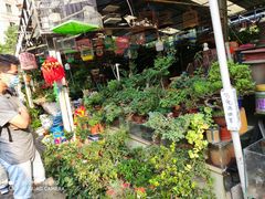-曲阳花鸟市场(曲阳路店)