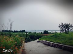-扁鹊湖阿尔卡迪亚国际度假酒店