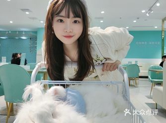 吃饭睡觉，保持可爱 | 魔都撸兔