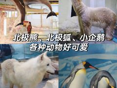 -南京海底世界