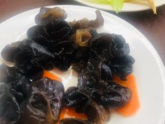 爽口木耳-华天新川面馆(缸瓦市店)