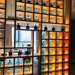 -彩虹之门健康管理