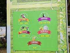 -广州长隆飞鸟乐园