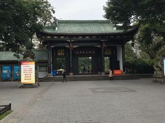 -桂湖森林公园