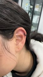 -龙之吻专业刺青·手工耳洞·纹身去色