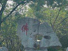 -千佛山风景名胜区