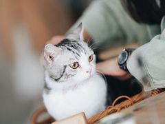 -共舞时光猫咖·狗咖(新街口店)