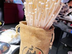 活体菌菇-麻路成都火锅(柏威年店)