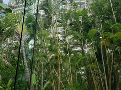 -博林圣海伦酒店-LA VILLA自助西餐厅(华侨城店)