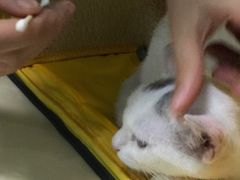 -仁普宠物诊所(住友昌盛新苑店)