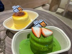 -狐狸和向日葵(北京路店)