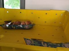 -中粮丰通（北京)食品有限公司
