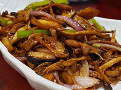 -邵年鸽(杨庄店)
