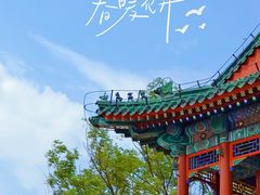 -颐和园