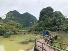 -靖西鹅泉风景区