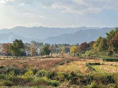 -塔川景区