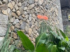 -MOJ coffee(瓯海泽雅水碓坑店)