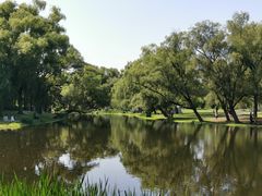 -上海共青森林公园