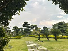 -南宁南湖公园