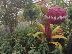 -沈阳植物园