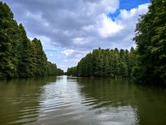 -上海海湾国家森林公园