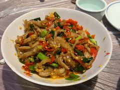 鸭掌筋-壹盏灯(惠农店)