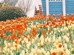 -铁山坪森林公园