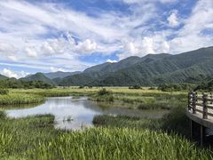 -大九湖