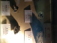 -龙虎山世界地质公园博物馆