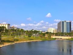 -宝安西湾红树林湿地公园