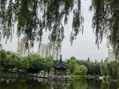 -和平公园
