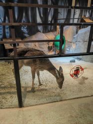 -酷嗒动物文化乐园(cutezoo西溪乐天城店)