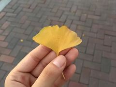 -唐山抗震纪念碑广场