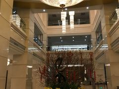 大堂-新君悦国际酒店