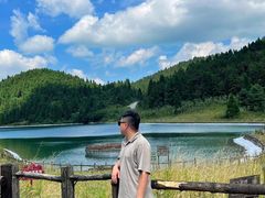 -武陵山森林公园