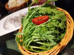 茼蒿-老灶堂文创火锅(文艺路店)