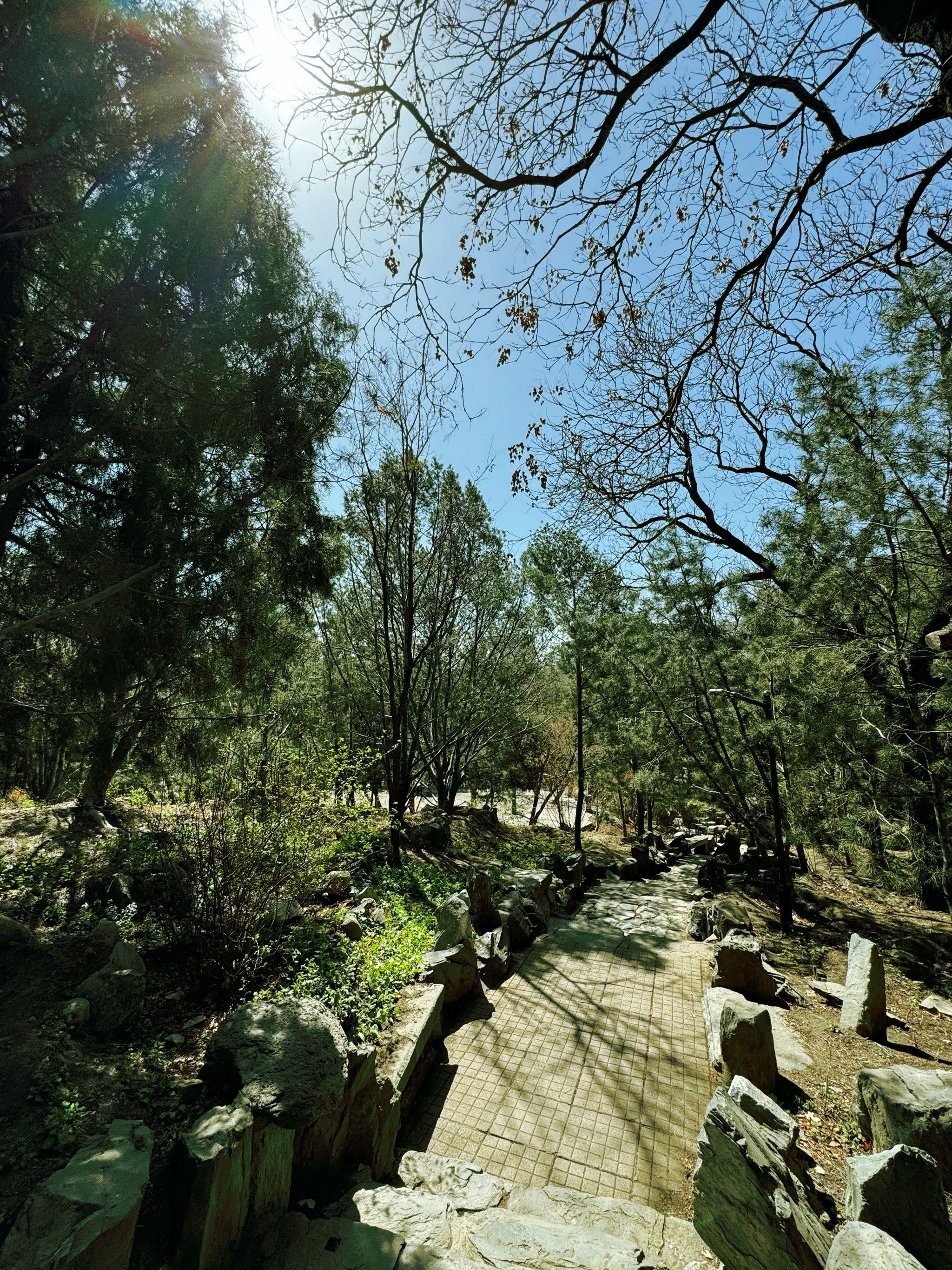 春天已到东单公园