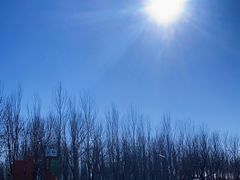 -东郊湿地公园