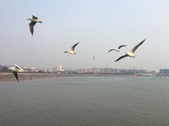 -栈桥景区