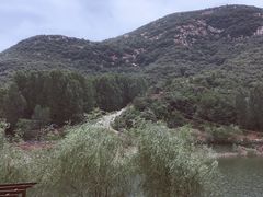 -伏羲大峡谷