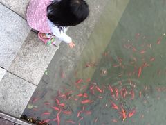 iphone_upload_pic-余姚阳明温泉山庄