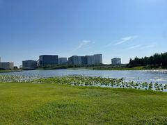 -春花秋色城市公园