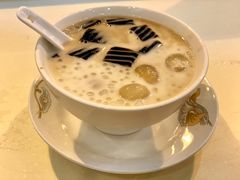 鲜龙眼西米凉粉-晶晶甜品(发昌大厦店)