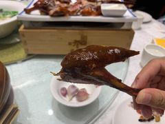 -蔼若春.传承三十年云南菜(金碧公园店)