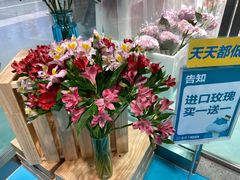 -盒马X会员店(上海森兰商都店)