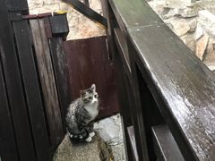 -崂山巨峰游览区