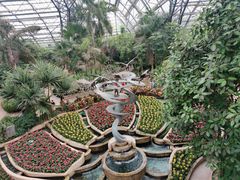 -南山植物园